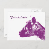 Paarse geit briefkaart (Voorkant / Achterkant)