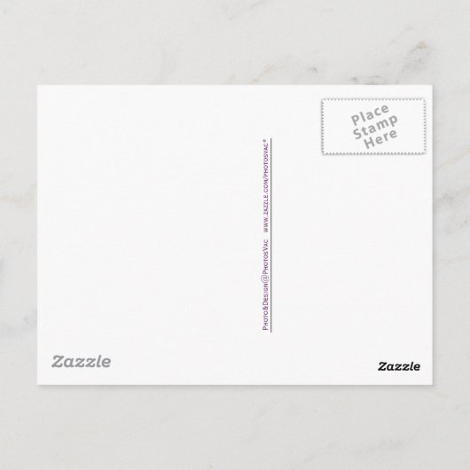 Paarse geit briefkaart (Achterkant)