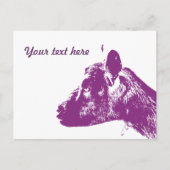 Paarse geit briefkaart (Voorkant)