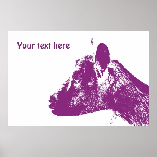 Paarse geit Poster (Voorkant)