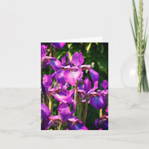 Paarse gekaarde Iris Flowers  Note Kaart