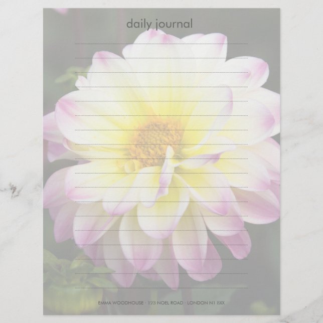 Paarse, gele en witte Dahlia (Voorkant)