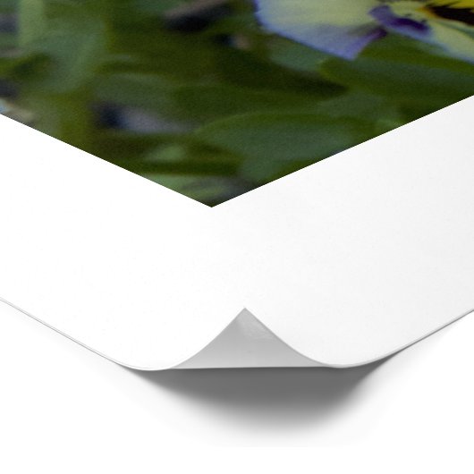 Paarse gele foto poster (Hoek)