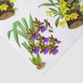  Paarse Gele Orchidee Bloem Ontschroothoop Tissuepapier (Detail)