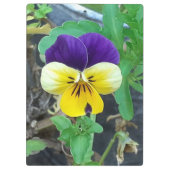 Paarse & Gele Pansy Klembord (Achterkant)