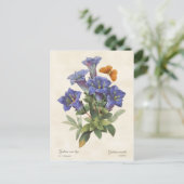 Paarse Gentian  Botanische illustratie Briefkaart (Staand voorkant)