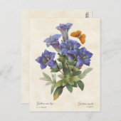 Paarse Gentian  Botanische illustratie Briefkaart (Voorkant / Achterkant)