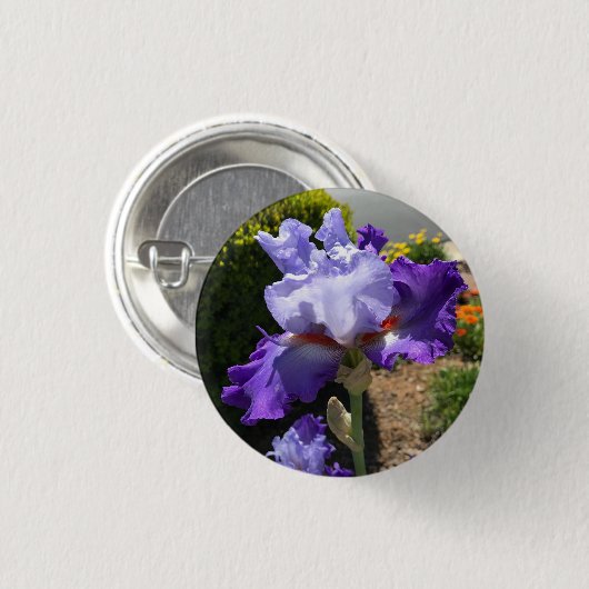 Paarse gepantserde Iris Button (Voorkant /achterkant)