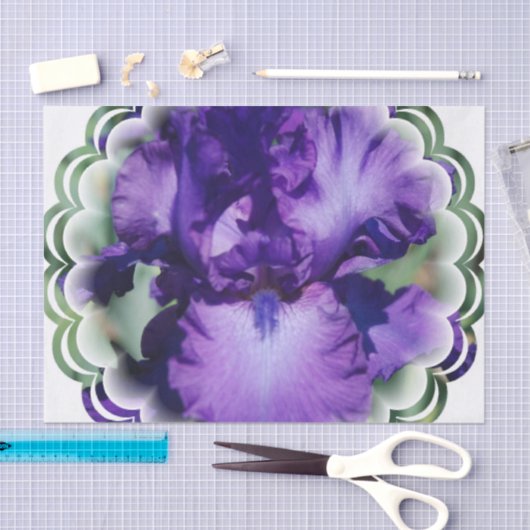 Paarse gepantserde iris tissuepapier (Craft)