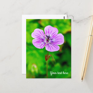 Paarse Geranium Ansichtkaart Briefkaart