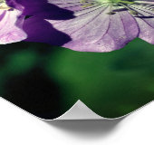 Paarse Geranium Flower Pair Mirror Abstract Poster (Hoek)