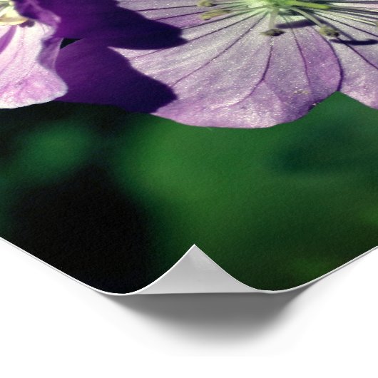Paarse Geranium Flower Pair Mirror Abstract Poster (Hoek)