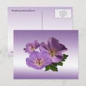 Paarse Geranium Flowers Briefkaart (Voorkant / Achterkant)