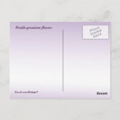 Paarse Geranium Flowers Briefkaart (Achterkant)