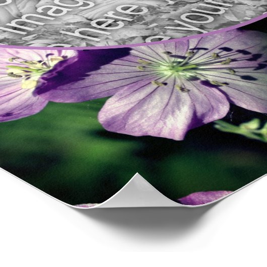 Paarse Geranium Flowers Lijst Uw foto toevoegen Poster (Hoek)