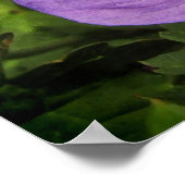 Paarse Geranium Flowers Poster (Hoek)