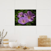 Paarse Geranium Flowers Poster (Keuken)