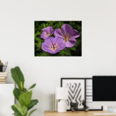 Paarse Geranium Flowers Poster (Thuiskantoor)