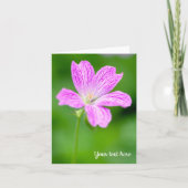 Paarse Geranium Wenskaart Kaart (Voorkant)