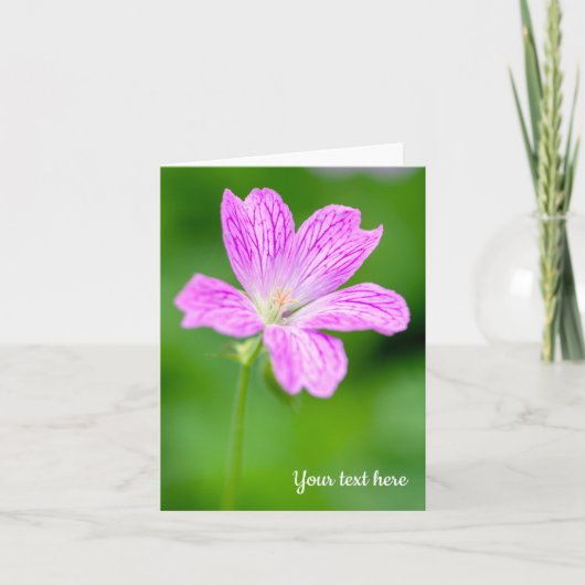 Paarse Geranium Wenskaart Kaart (Voorkant)