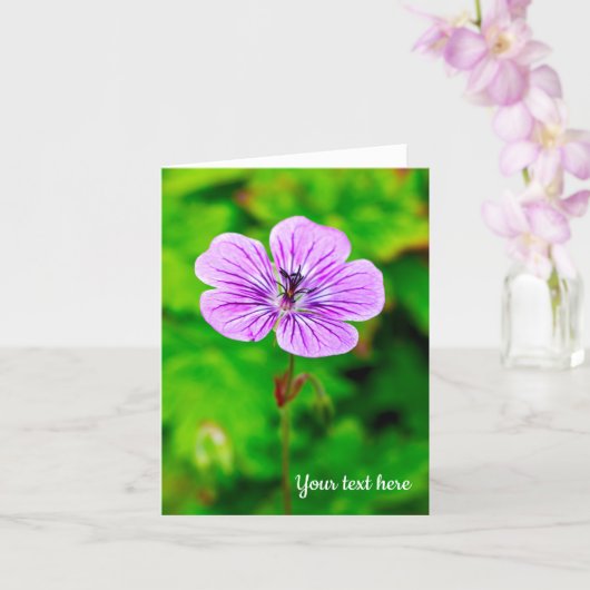 Paarse Geranium Wenskaart Kaart (Orchidee)