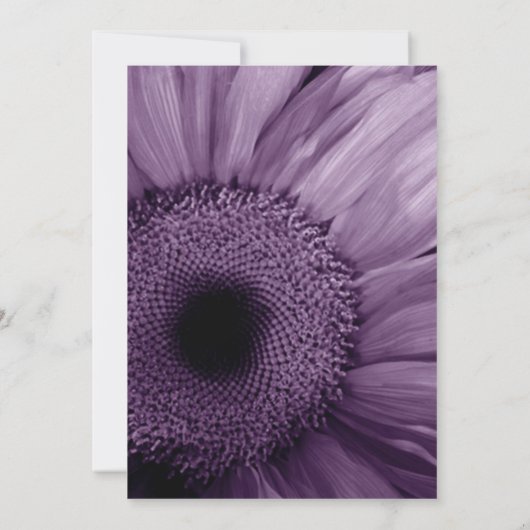 PAARSE Gerber Daisy Wedding Uitnodiging (Achterkant)