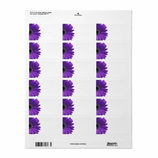 Paarse Gerbera Daisy Blank Bruiloft Adresetiketten Etiket (Full Sheet)