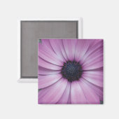 Paarse Gerbera Daisy Flower Koelkast Magnet Square (Voorkant / Achterkant)