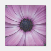 Paarse Gerbera Daisy Flower Koelkast Magnet Square (Voorkant)