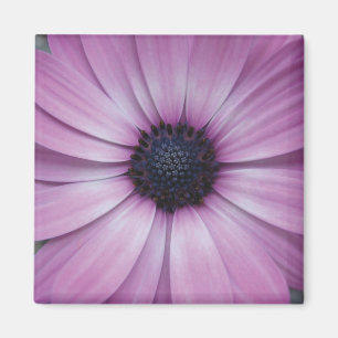 Paarse Gerbera Daisy Flower Koelkast Magnet Square