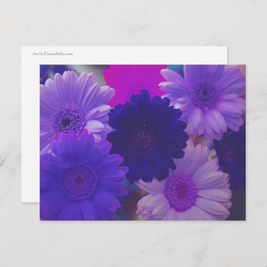 Paarse Gerbera Daisy Flower Photo Art Briefkaarten (Voorkant / Achterkant)