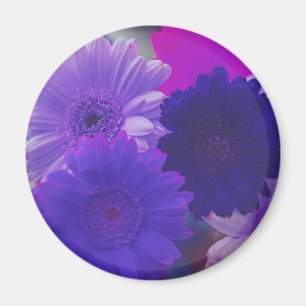 Paarse Gerbera Daisy Flower Refkoelkast Magnet