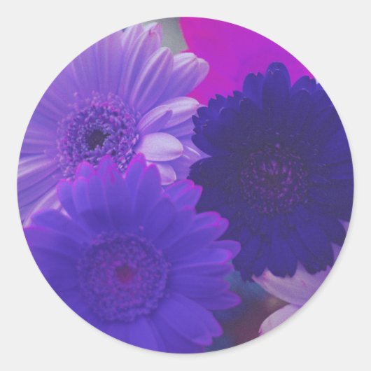 Paarse Gerbera Daisy Flowers Art Decale Stickers (Voorkant)