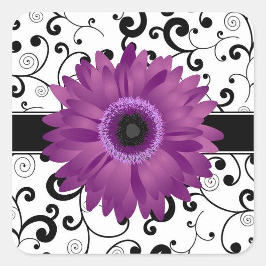 Paarse Gerbera Daisy met Black Scroll Design Seal Vierkante Sticker (Voorkant)