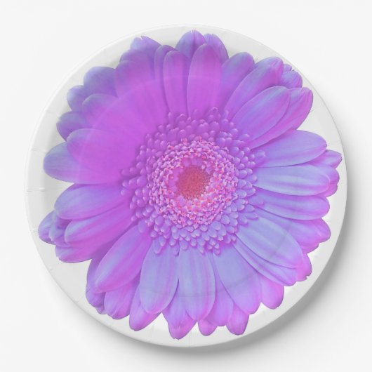 Paarse gerbera daisy papieren bordje (Voorkant)