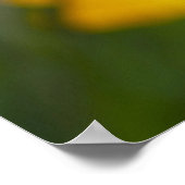 Paarse Gerbera Tussen Gele Bloemen Poster (Hoek)