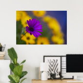 Paarse Gerbera Tussen Gele Bloemen Poster (Thuiskantoor)
