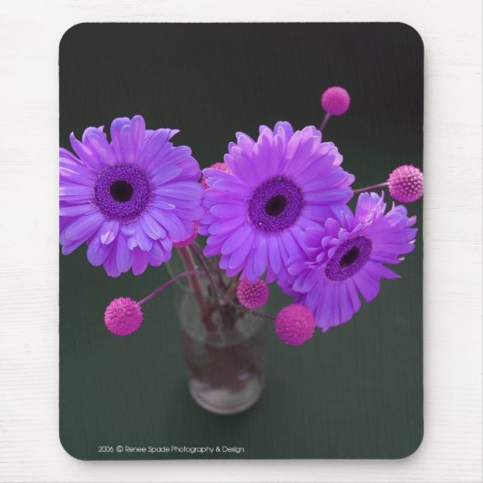 Paarse Gerbers Muismat (Voorkant)