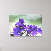 Paarse geweldplegingen canvas afdruk (Voorkant)