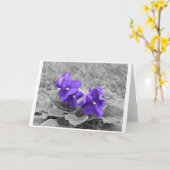 Paarse geweldplegingen, kaart (Gele Bloem)