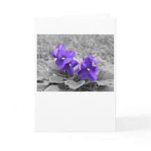 Paarse geweldplegingen, kaart