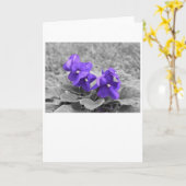 Paarse geweldplegingen, kaart (Gele Bloem)