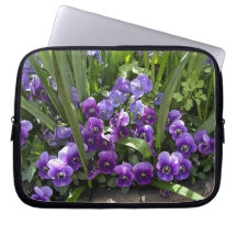 Paarse geweldplegingen