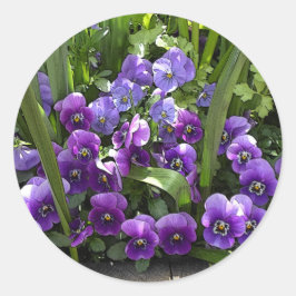 Paarse geweldplegingen ronde sticker