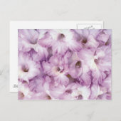 Paarse Glads alle gelegenheden Briefkaart (Voorkant / Achterkant)