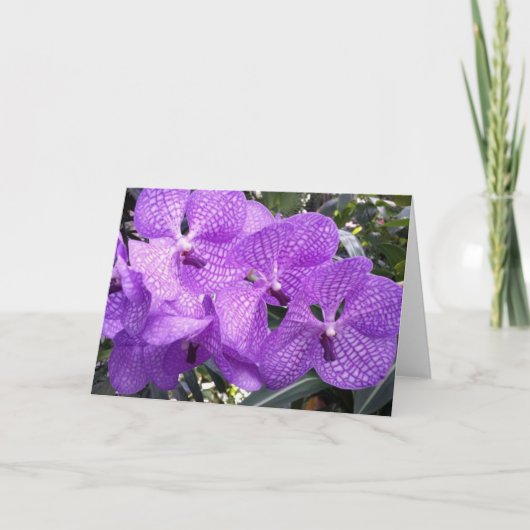 Paarse glorie in Giverny, Frankrijk Kaart (Voorkant)