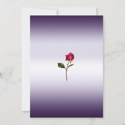 Paarse & Gouden Rode Rose Beauty Verjaardagsfeest Kaart (Achterkant)