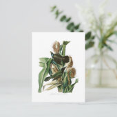 Paarse Grackle Crow John Audubon Birds of America Briefkaart (Staand voorkant)