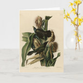 Paarse grakle (Grackle) Amerikaanse Audubon-vogels Kaart (Gele Bloem)