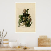 Paarse grakle poster (Keuken)